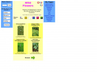 Wildestflowers.com