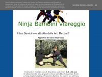 Ninjabambiniviareggio.blogspot.com