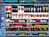 Shelldimension.com