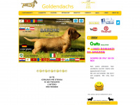 Goldendachs.com