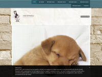 Cani-orfanelli.com