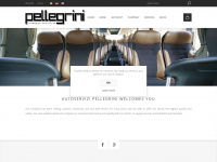 Pellegrini-coaches.com