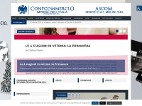 Confcommerciomolise.it