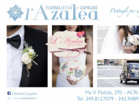 Azaleafiori.it