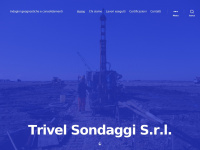 Trivelsondaggi.it