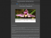 Giovannispagnoli.com