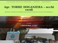 Torredoganiera.wordpress.com