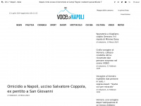 Vocedinapoli.it