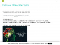Elenasbarluzzi.com