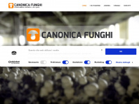 Canonicafunghi.it