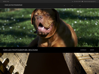Ivanleophotographer.it