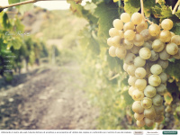Cascinaronchetto.it