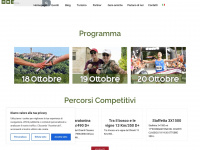 Ecomaratonadelchianticlassico.it