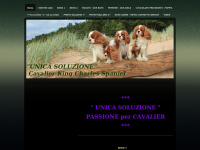 cavalierkingunicasoluzione.com
