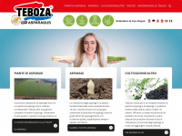 Teboza.it