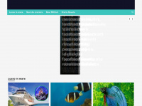 Marinecue.it