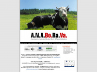 Anaborava.it