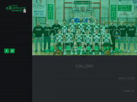 Ospitalettobasket.it