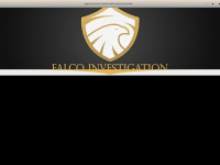 investigationfalco.it