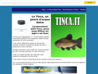 Tinca.it