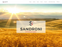 sandroni-int.com