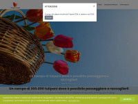 tulipanieuganei.it