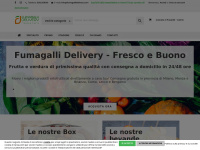 Fumagallidelivery.com