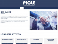 Picle.it