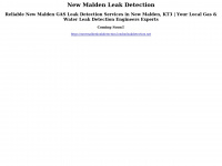 Newmaldenleakdetection.londonleakdetection.net