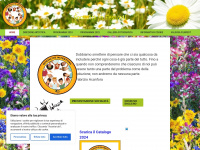 Socialitainfestival.org