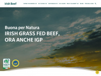 Irishbeef.it