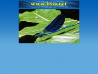 Livio.net
