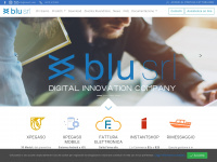blusrl.com