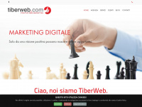 tiberweb.com