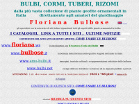 bulbi.net