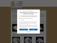 napkinfoldingguide.com