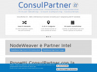 Consulpartner.net