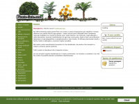 piante-finte.com