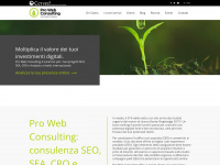 prowebconsulting.net