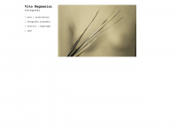 vitomagnanini.com