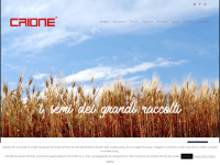 caione.it
