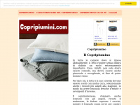 copripiumini.com