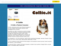 collie.it