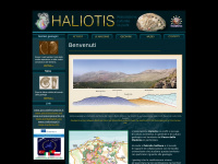Haliotis.it