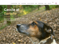 Castino.it