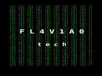 flaviao.com