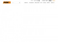 foxint.com