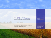 arkayagroup.com