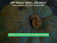 Murtaezucche.it