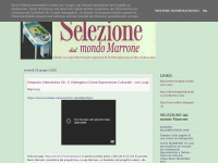 selezionemarrone.blogspot.com